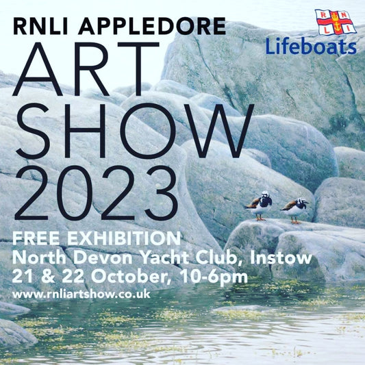 RNLI Art Show, Instow Yacht Club