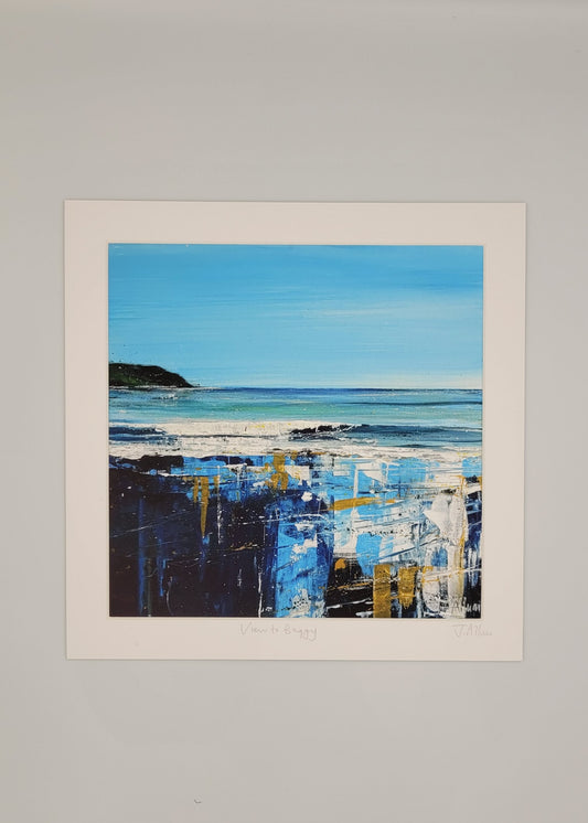 Baggy Summer, Lundy Summer and Morte Summer by Jo Allum