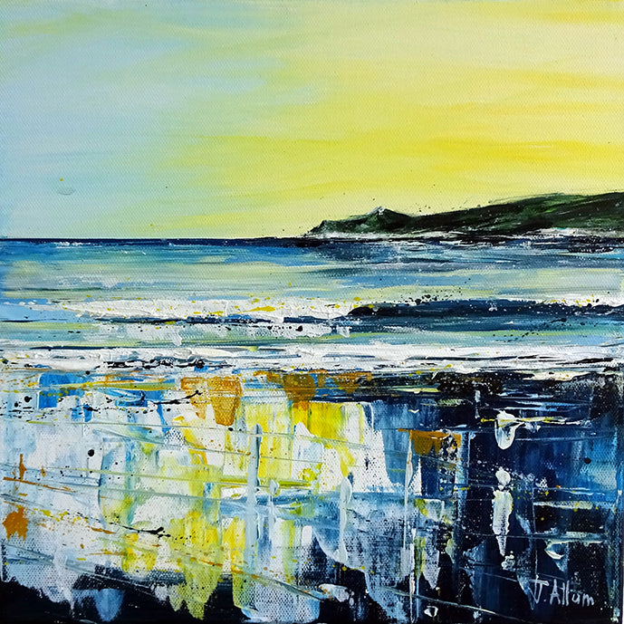 Baggy Summer, Lundy Summer and Morte Summer by Jo Allum