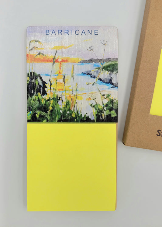 Barricane Magnetic Sticky Notes