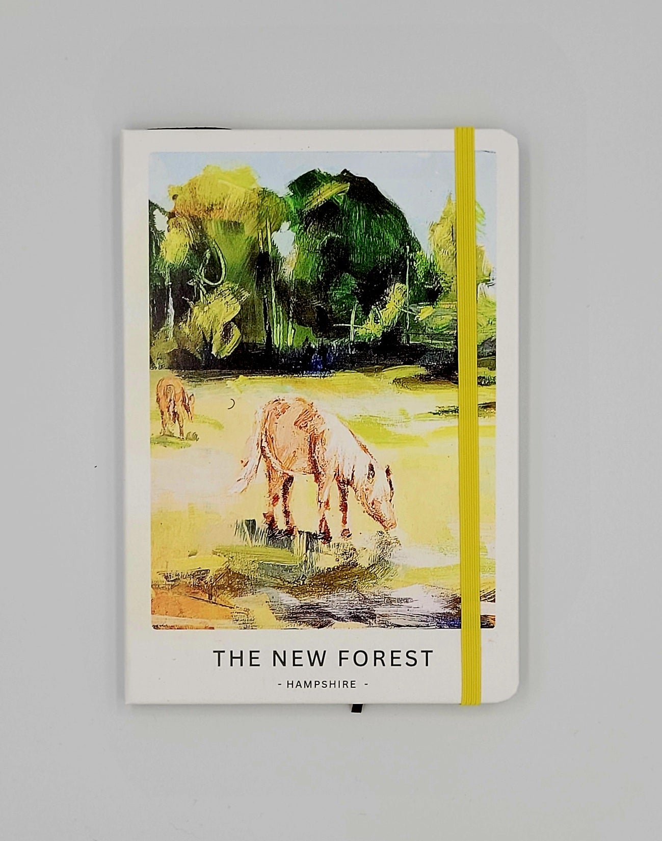 A5 lined notebooks