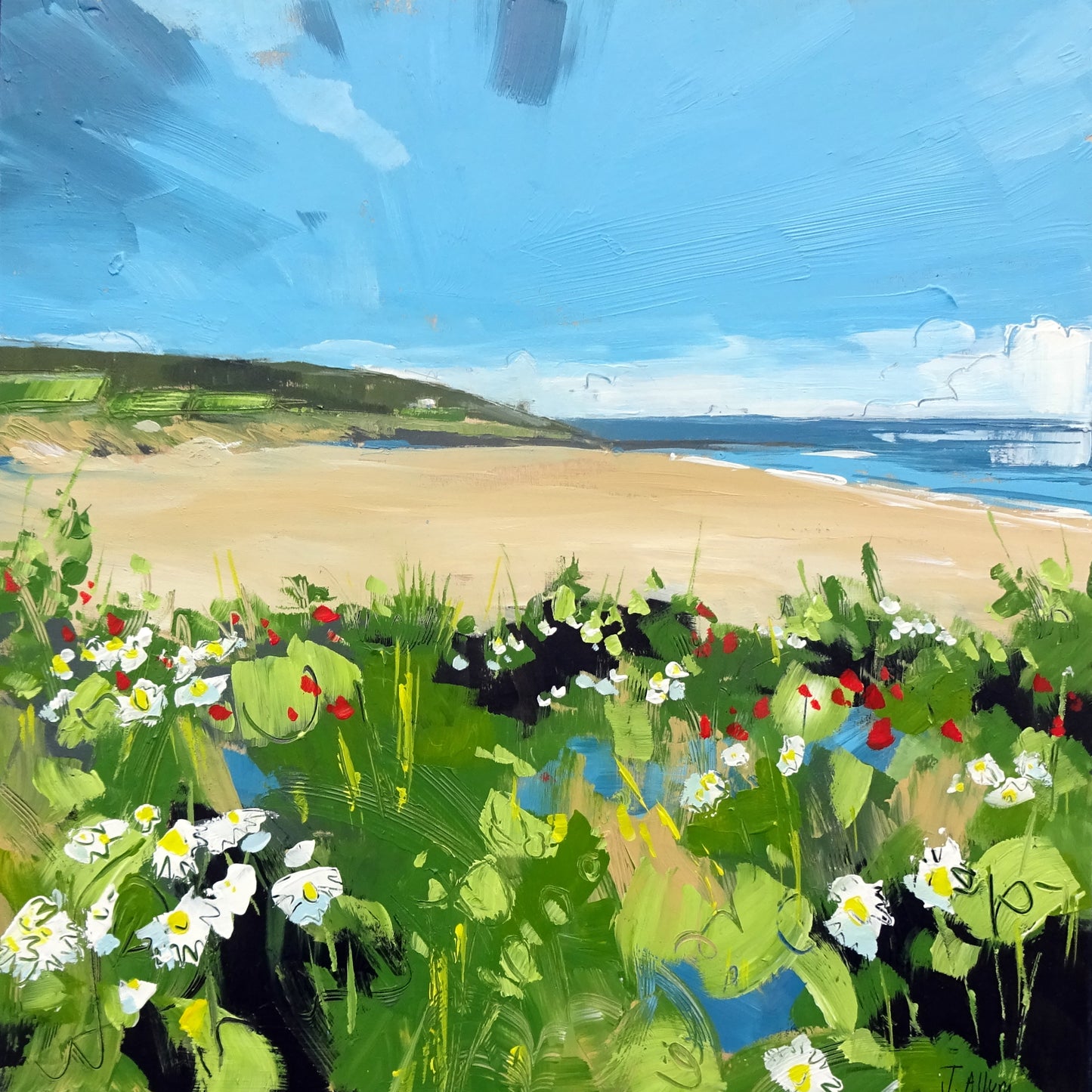 Croyde Summer. Art Print by Jo Allum