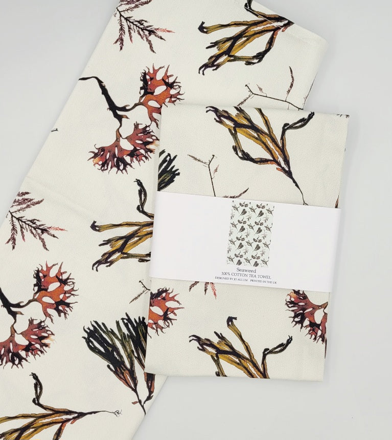 Seaweed Collection
