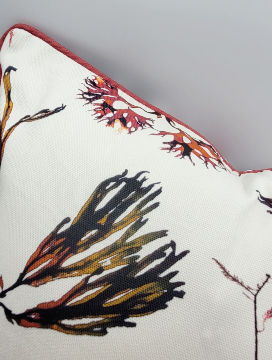 Seaweed cushion