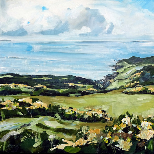 Across Mortehoe, Across Morte Point and Across Combesgate by Jo Allum