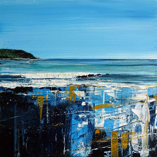Baggy Summer, Lundy Summer and Morte Summer by Jo Allum