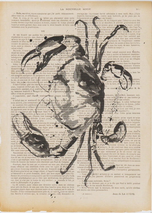 Sea Life Ink Prints on French Script by Jo Allum